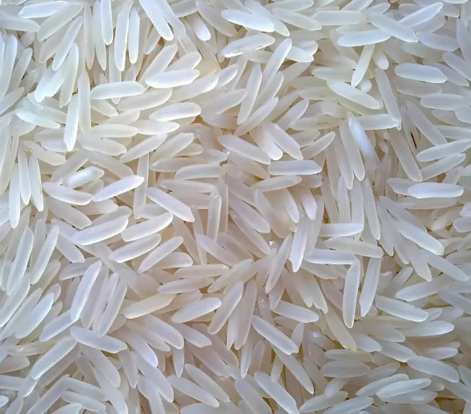 IRRI 9 Basmati Rice