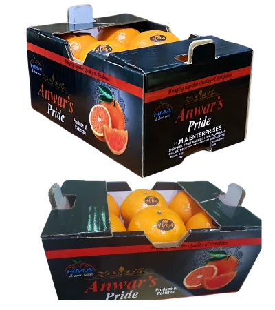 Fesh Mandarin Boxes ready for export