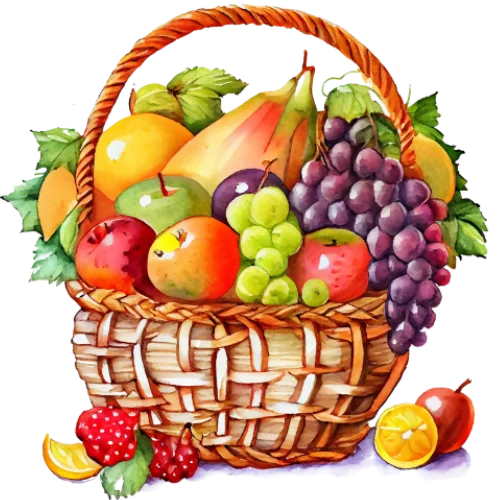 Fresh Fruits and Vegetables for export
